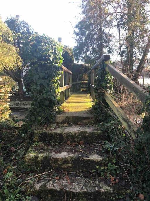 Eco-Friendly Dorset Cottage With Spa Set In Heart Of Countryside Sydling St Nicholas Zewnętrze zdjęcie