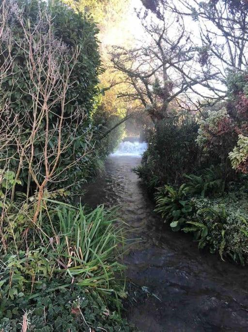 Eco-Friendly Dorset Cottage With Spa Set In Heart Of Countryside Sydling St Nicholas Zewnętrze zdjęcie