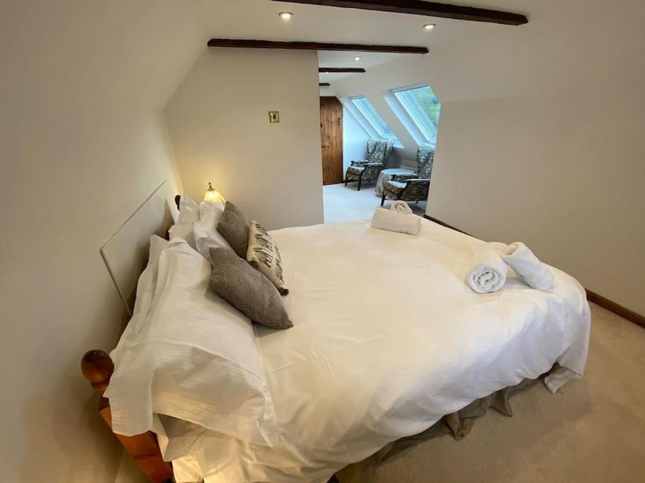 Eco-Friendly Dorset Cottage With Spa Set In Heart Of Countryside Sydling St Nicholas Zewnętrze zdjęcie